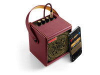 Positive Grid Spark Mini VAI Positive Grid Spark Mini VAI